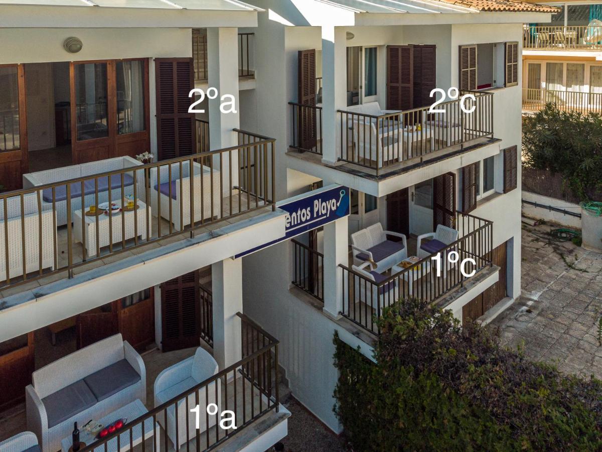 Apartments Playa Alcudia  Eksteriør billede