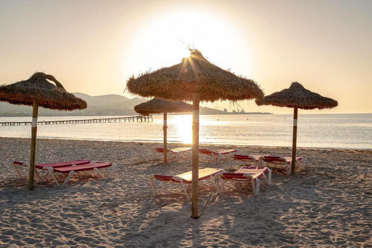 Apartments Playa Alcudia  Eksteriør billede